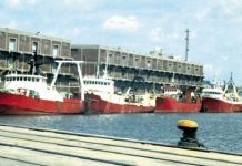 Pesca en Uruguay: los barcos vuelven al mar mientras persisten tensiones sindicales