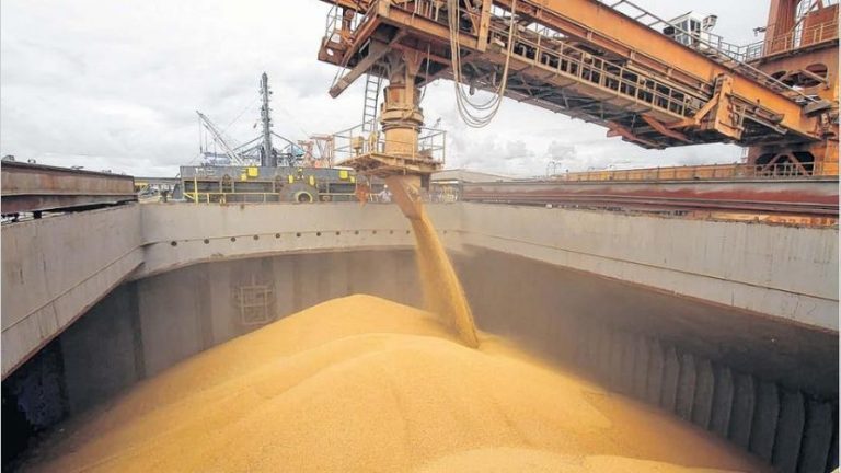Brasil lidera exportaciones de granos durante primeros 4 meses de 2023
