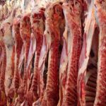 CarneBovina-1132×670