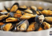 DINARA mantiene veda precautoria por marea roja para moluscos bivalvos en Rocha