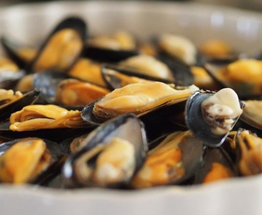 DINARA mantiene veda precautoria por marea roja para moluscos bivalvos en Rocha