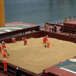Operarios trabajan en el buque Kypros Land en la terminal Tiplam en Santos