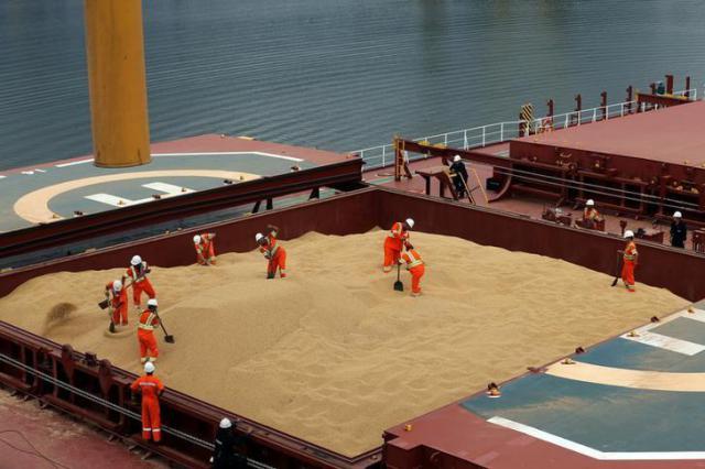 Operarios trabajan en el buque Kypros Land en la terminal Tiplam en Santos