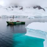 greenpeace