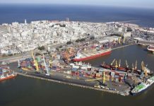 Navieras redibujan rutas: Buenos Aires gana escalas y Montevideo pierde conectividad