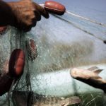 acuerdo internacional