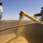 exportaciones elevan