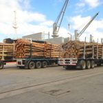 madera (1)