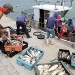 p24f1-p1120902_1200w