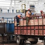 articulo ganado y normas