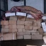 carne contrabando