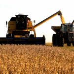 crecimiento economico