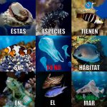 habitat marino