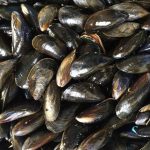 mejillones