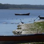 pescadores de rocha