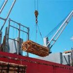 reactivacion portuaria (1)