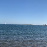 regata palomense
