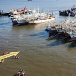 saqueadores de oceanos