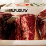 exportacioines carnicas