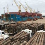 exportación de madera