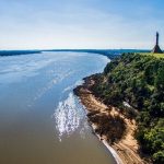 pajaros pintados (3)