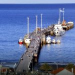 terminales argentinas