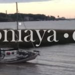 515x218_noticia_83cecb