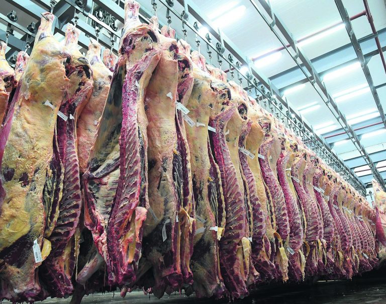 Exportaciones de carne vacuna uruguaya crecen en volumen y precio, consolidando su liderazgo comercial