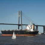 importancia en la economía