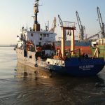 relevamiento de fauna