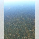 rio uruguay en san javier