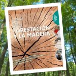 foerestación