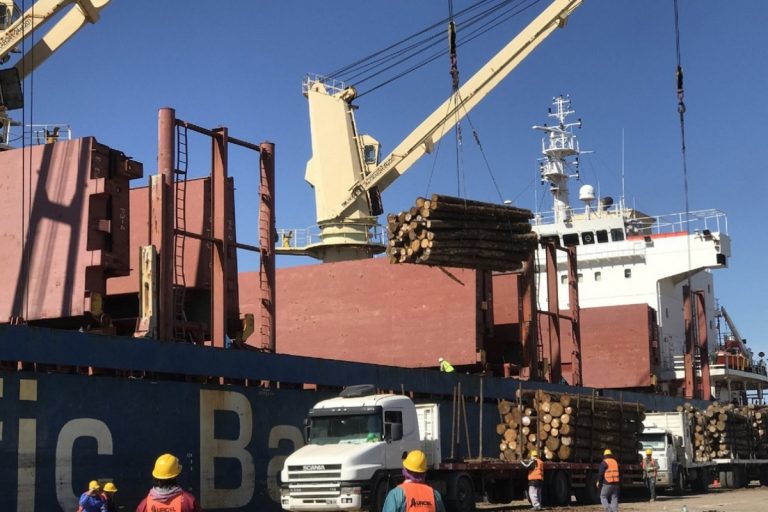 Incremento en las Exportaciones del País en lo que va del Año