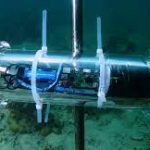 ionteligencia en arrecifes