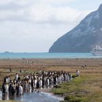 islas georgia