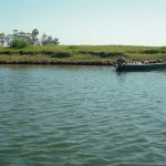 Laguna Merín / Rocha