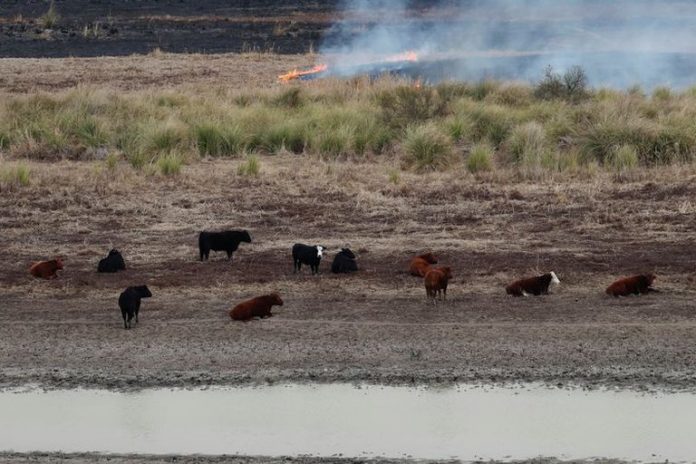 humedales y el fuego