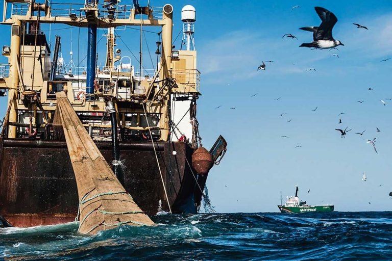Puerto pesquero de Capurro apuntará a flotas del Atlántico Sur