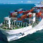 portacontenedor lleno