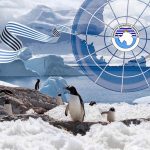 dia de la antartida uruguaya