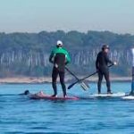 standup paddle