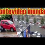 56066
