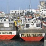 pesca la paloma