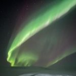 boreal