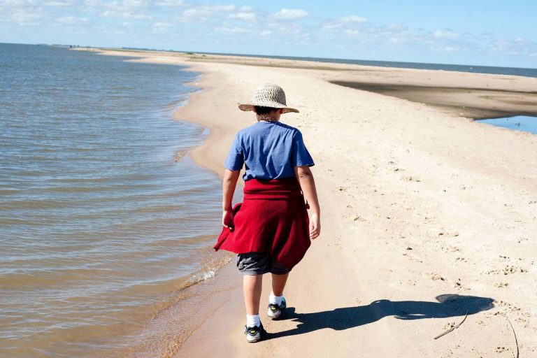 Hidrovía Uruguay-Brasil que apunta al transporte fluvial de cargas del agronegocio necesita dragados y la generación de infraestructuras