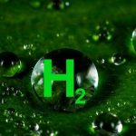 H 2