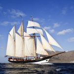 Oosterschelde-6-c-Arthur-Smeets