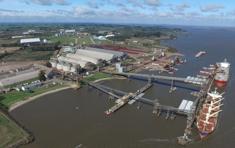 Entre mayo y junio se exportaron unas 290.000 toneladas de soja desde el puerto de Nueva Palmira