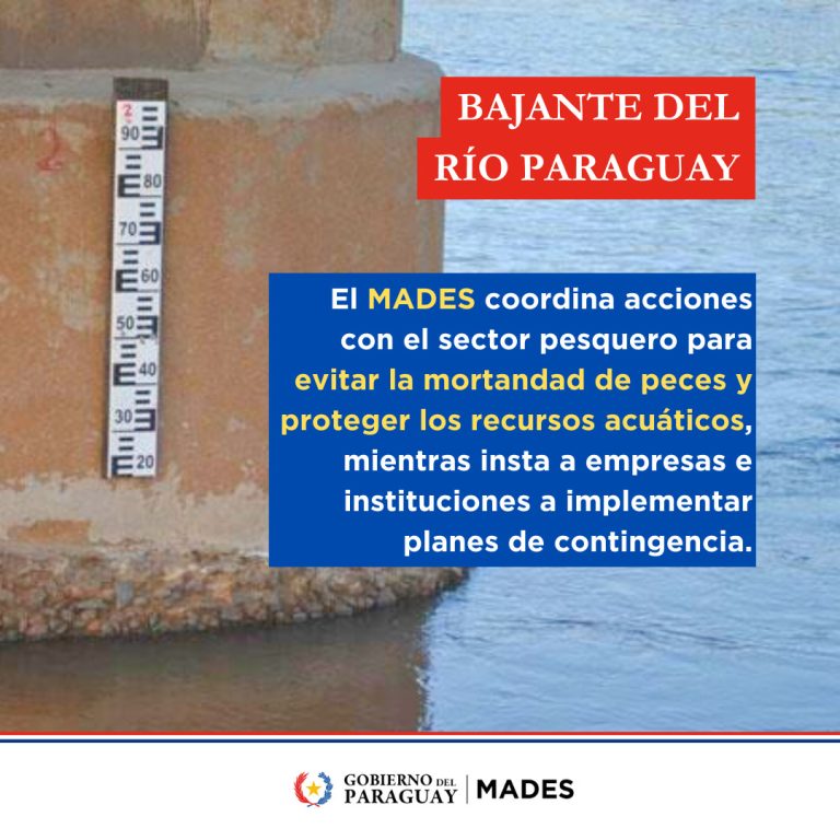 Bajante del río Paraguay: MADES alerta sobre riesgos y colabora con sector pesquero