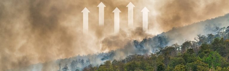 Aumento de emisiones de gases de efecto invernadero en la Amazonia brasileña debido a los incendios